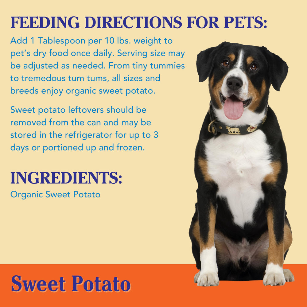 Nummy Tum Tum organic sweet potato ingredient closeup highlights simple, wholesome plant-based goodness.
