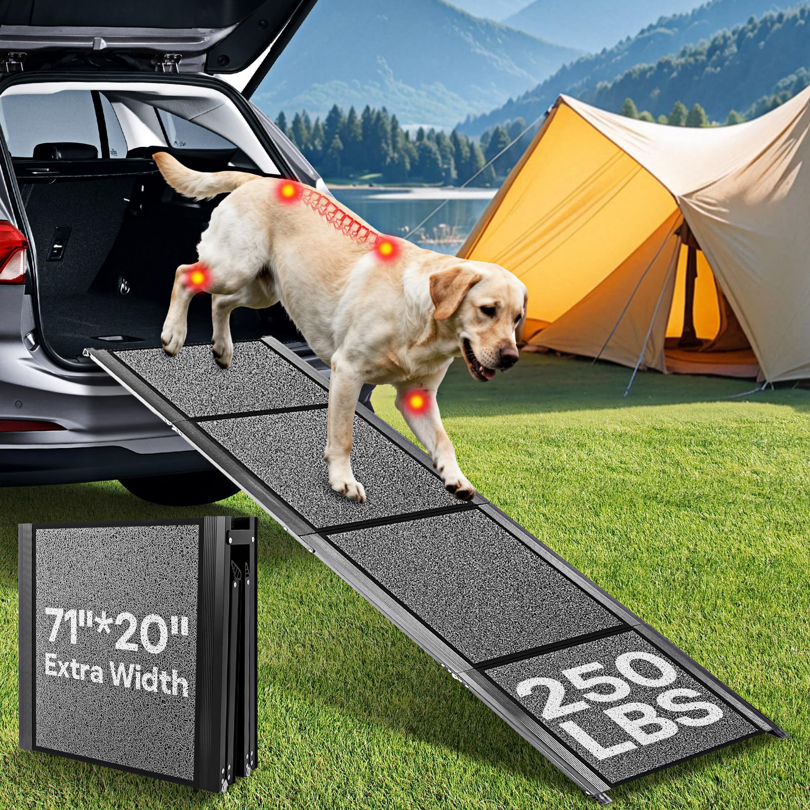 NUOBESTY 71-inch dog ramp wide for easy vehicle access.