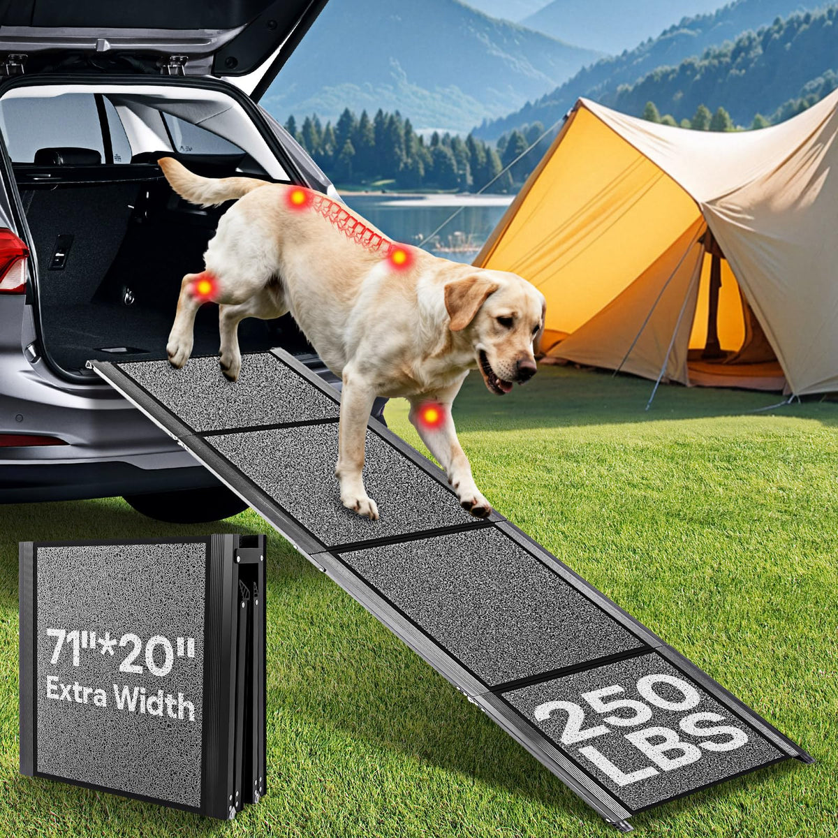 NUOBESTY 71-inch dog ramp wide for easy vehicle access.