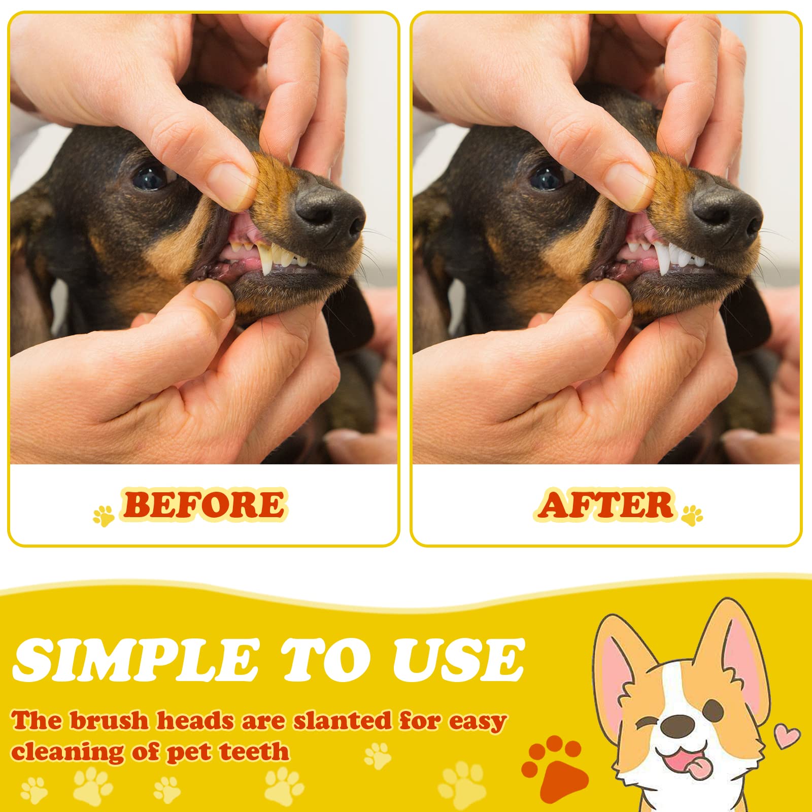 Nuogo puppy and cat dental brushes suitable for everyday oral care.