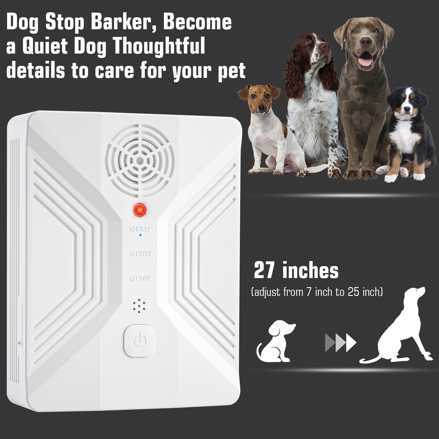 Nupec dog-friendly environment shows positive behavior cues during calm evenings