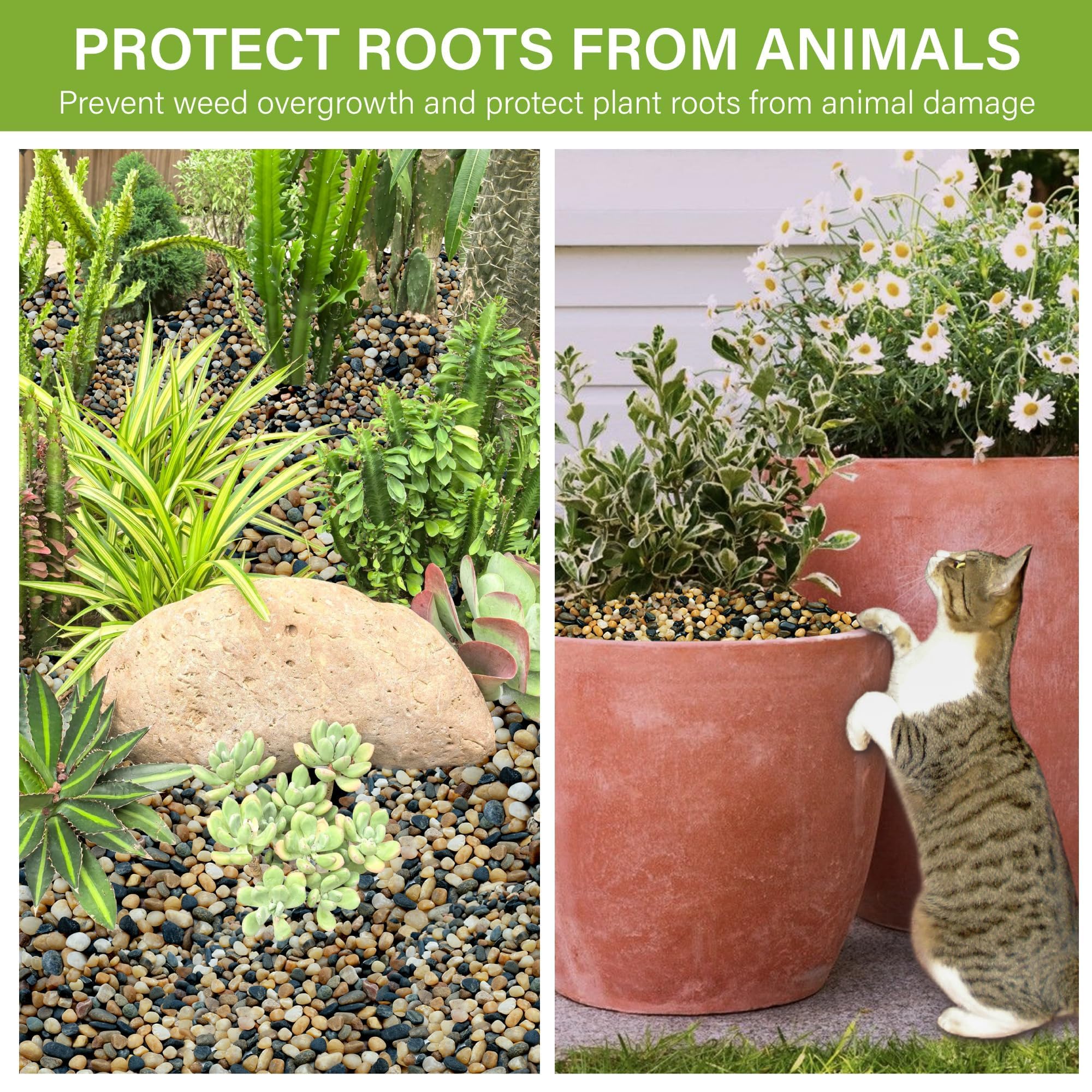 NUPICK gravel for succulents and cacti supports drainage and vibrant color