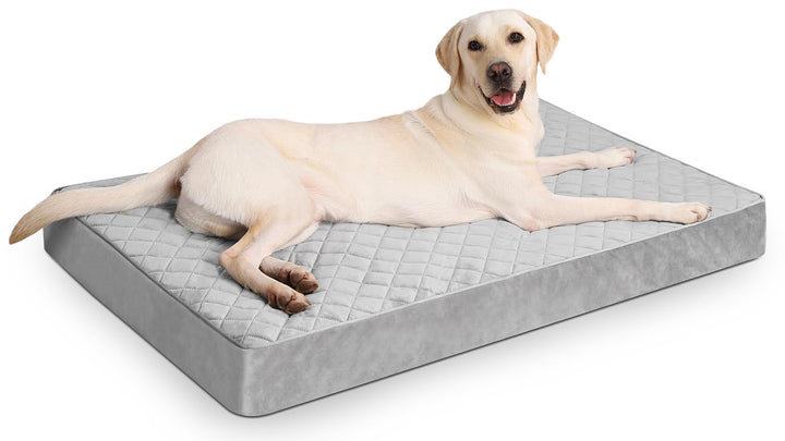 NUPIDA orthopedic dog bed with waterproof cover protects foam from accidents, keeping your pet clean