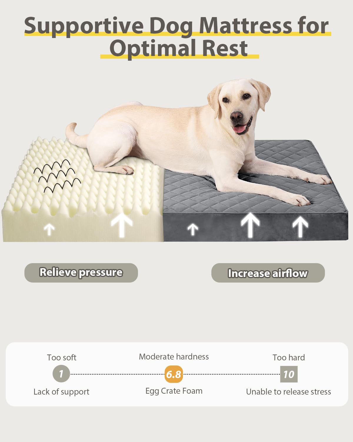 NUPIDA orthopedic XL dog bed 41x27 inch fits medium to large dogs