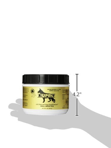 Nupro Nutri-Pet small-breed dog in motion suggesting athletic support