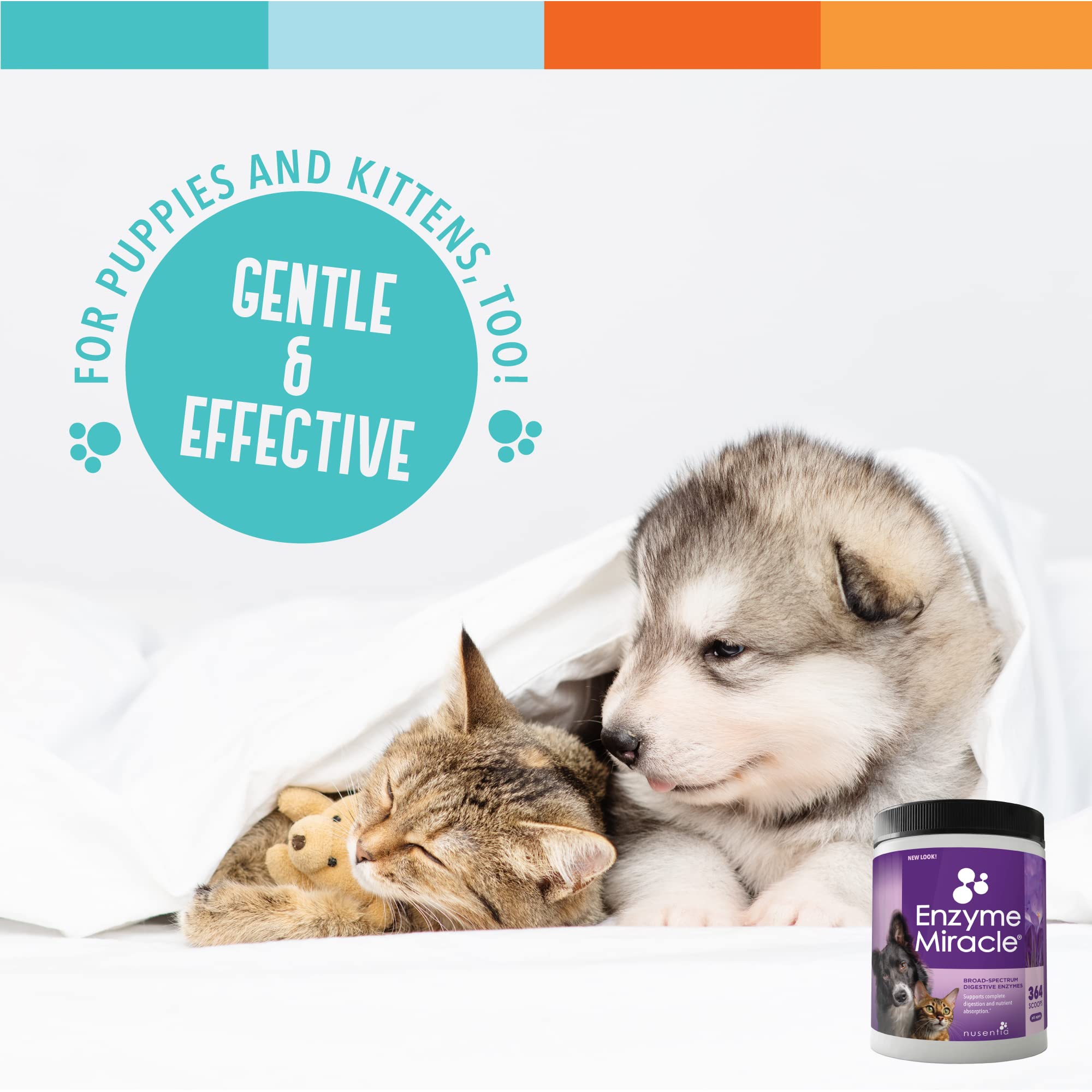 NUSENTIA Enzyme Miracle plant-based enzymes blend for nutrient breakdown.