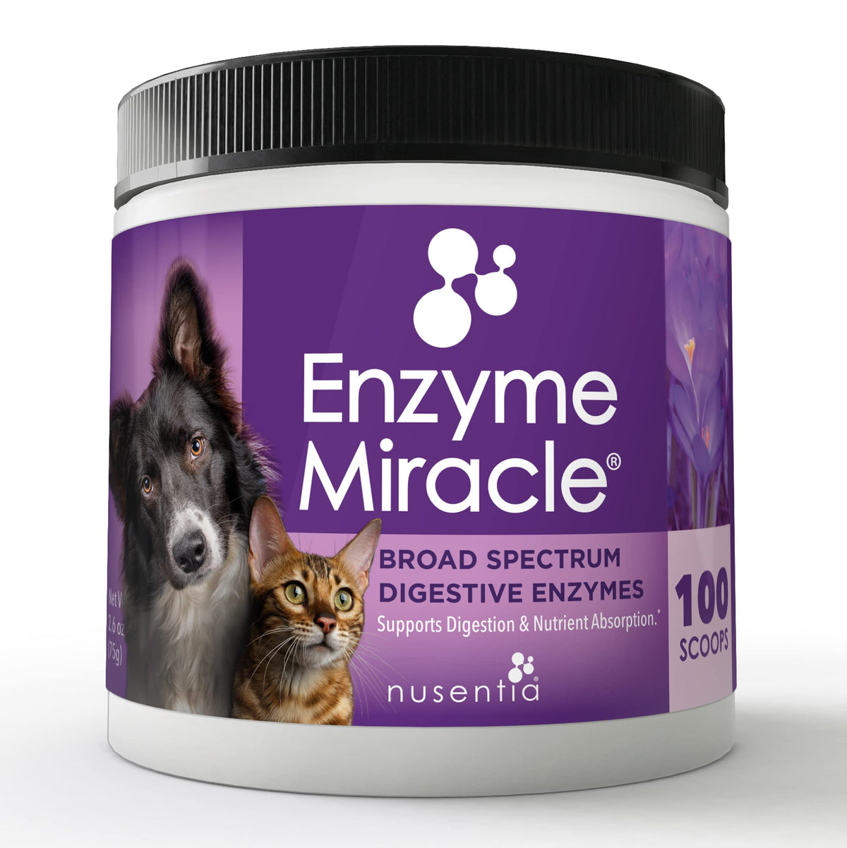 NUSENTIA Enzyme Miracle powder in pet food bowl supports digestion and nutrient absorption.
