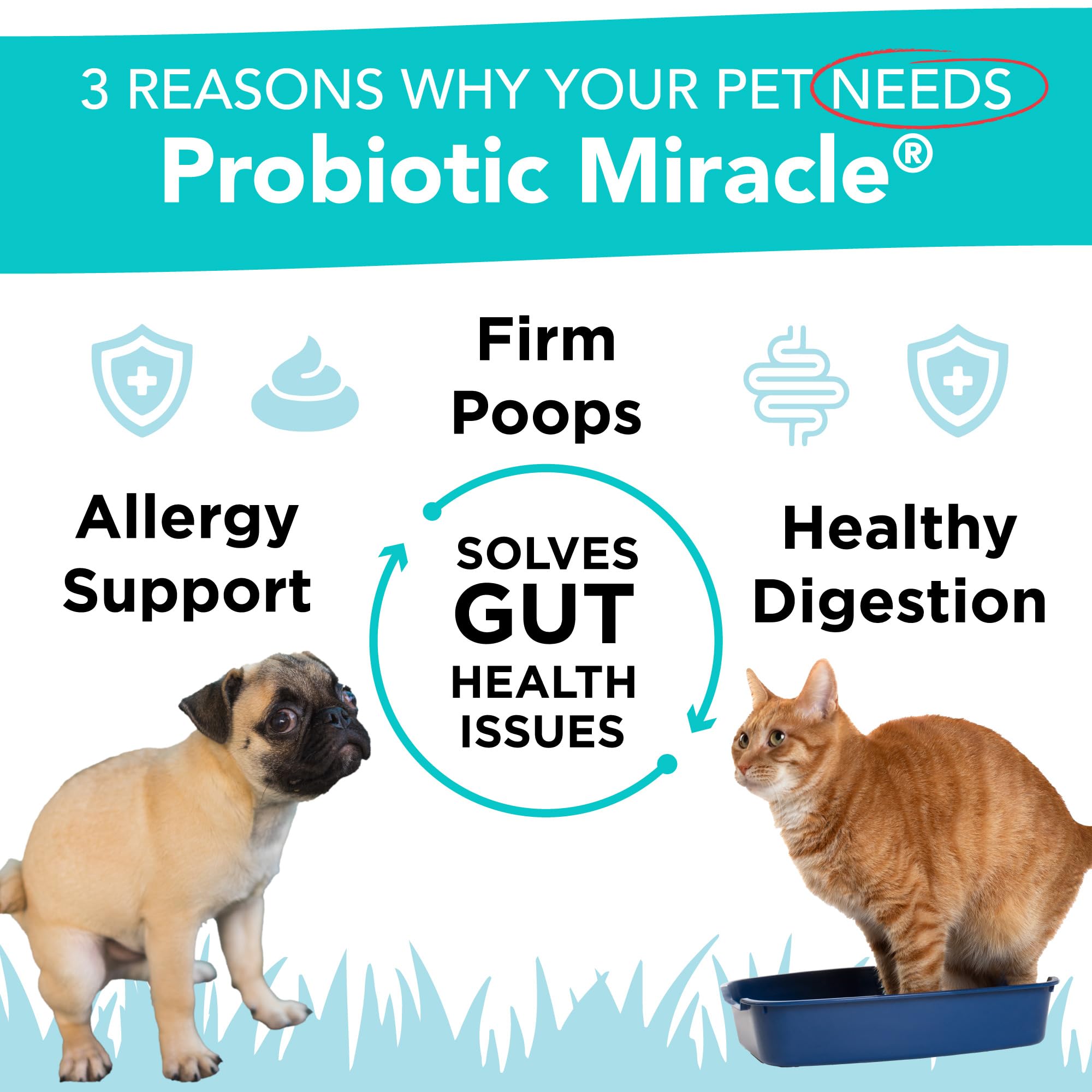 NUSENTIA probiotics scoop for accurate daily dosing.