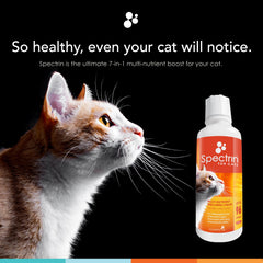 Nusentia Spectrin for Cats bottle pour demonstrates easy dosing for busy households