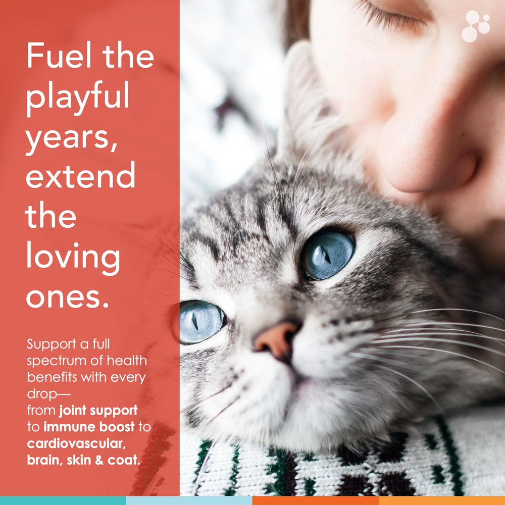 Nusentia Spectrin for Cats liquid form delivers fast absorption