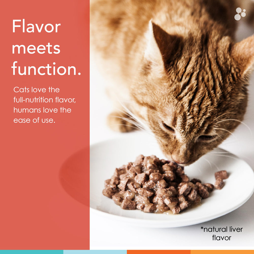 Nusentia Spectrin for Cats measuring dropper shows precise, mess-free dosing