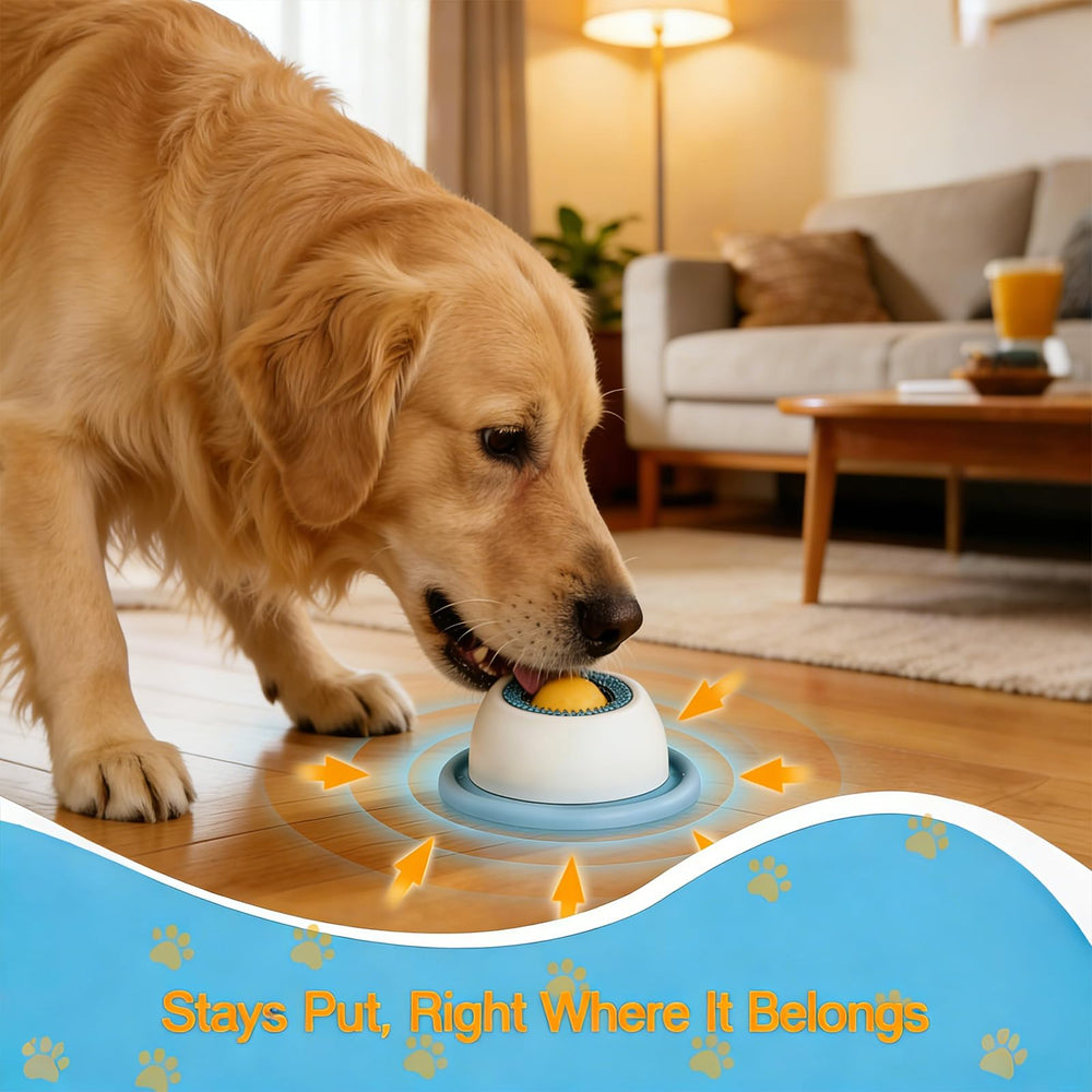 NUSQO bonding-friendly design encourages shared playtime.