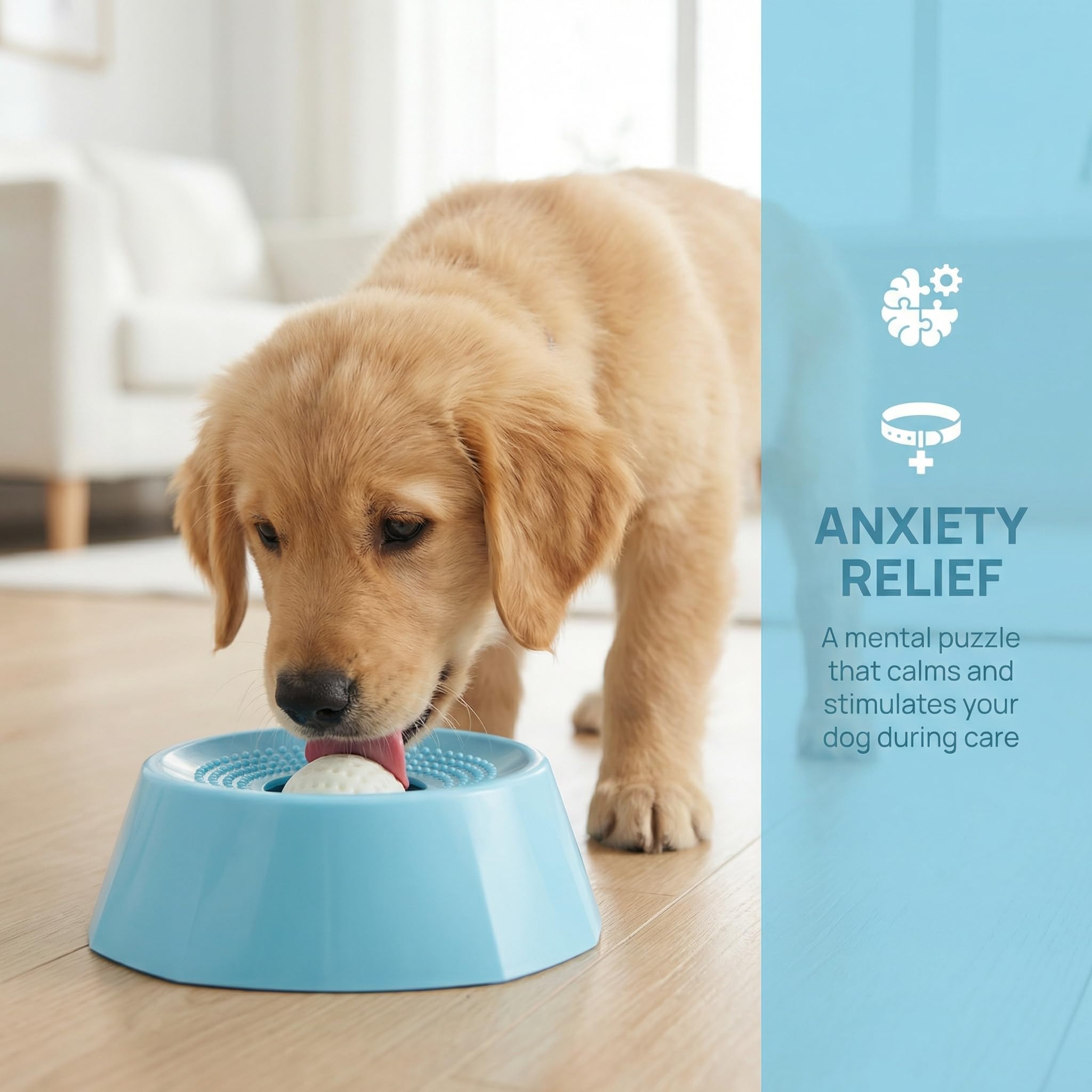 Large size option for bigger dogs.