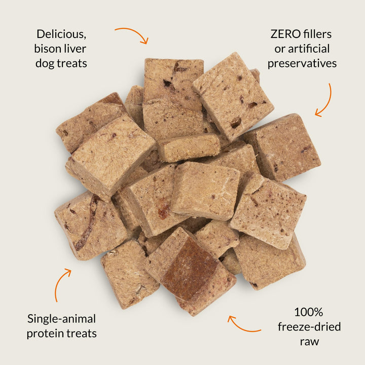 Nutra Bites bison liver crunch close-up emphasizes freeze-dried texture and aroma.