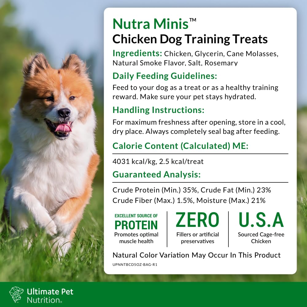 Dog training session rewarded with Nutra Minis treats.