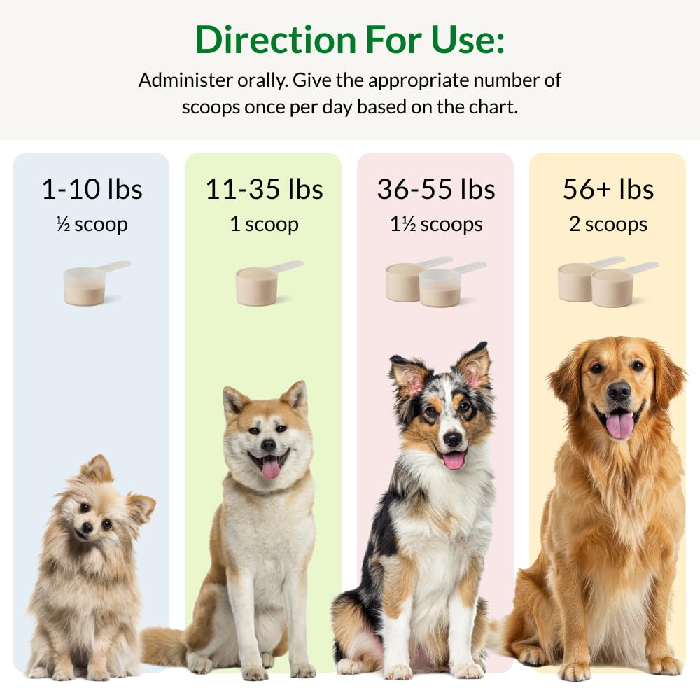 Nutra Thrive dog digestive support concept demonstrates comfort after meals