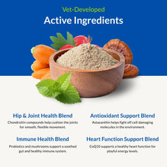 Nutra Thrive probiotic enzymes blend illustration highlighting digestion