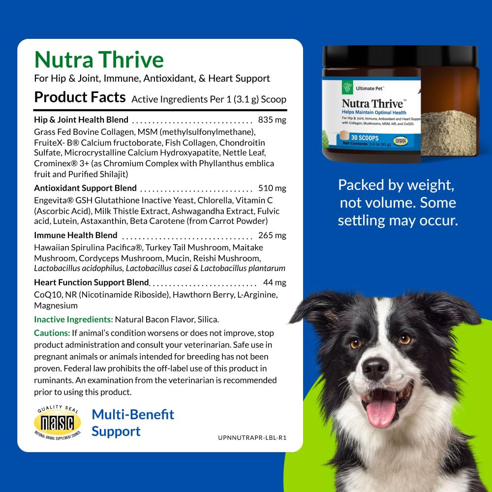 Nutra Thrive scoop dispensing the powder for serving