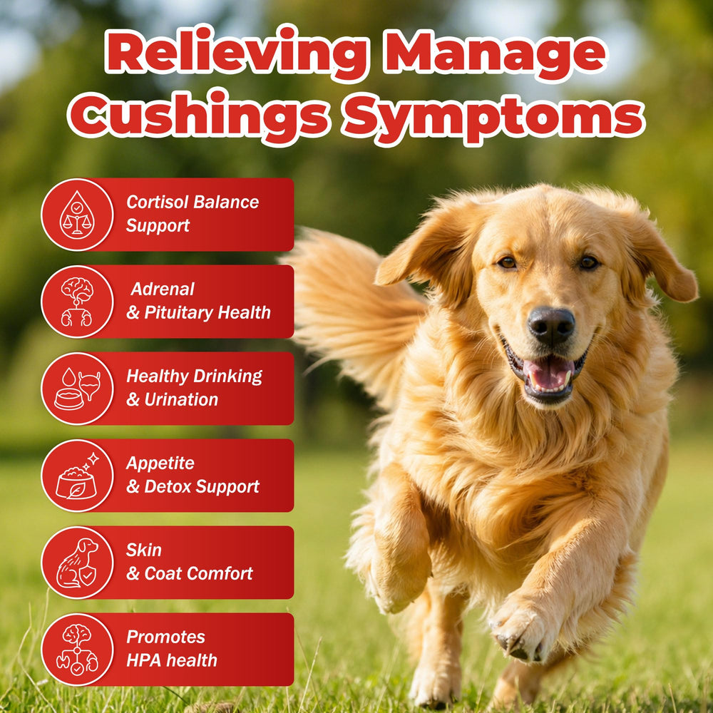 NutraLeonis Adrenal Balance for Dogs bottle closeup highlights natural ingredients for stress support.