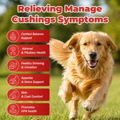 NutraLeonis Adrenal Balance for Dogs bottle closeup highlights natural ingredients for stress support.