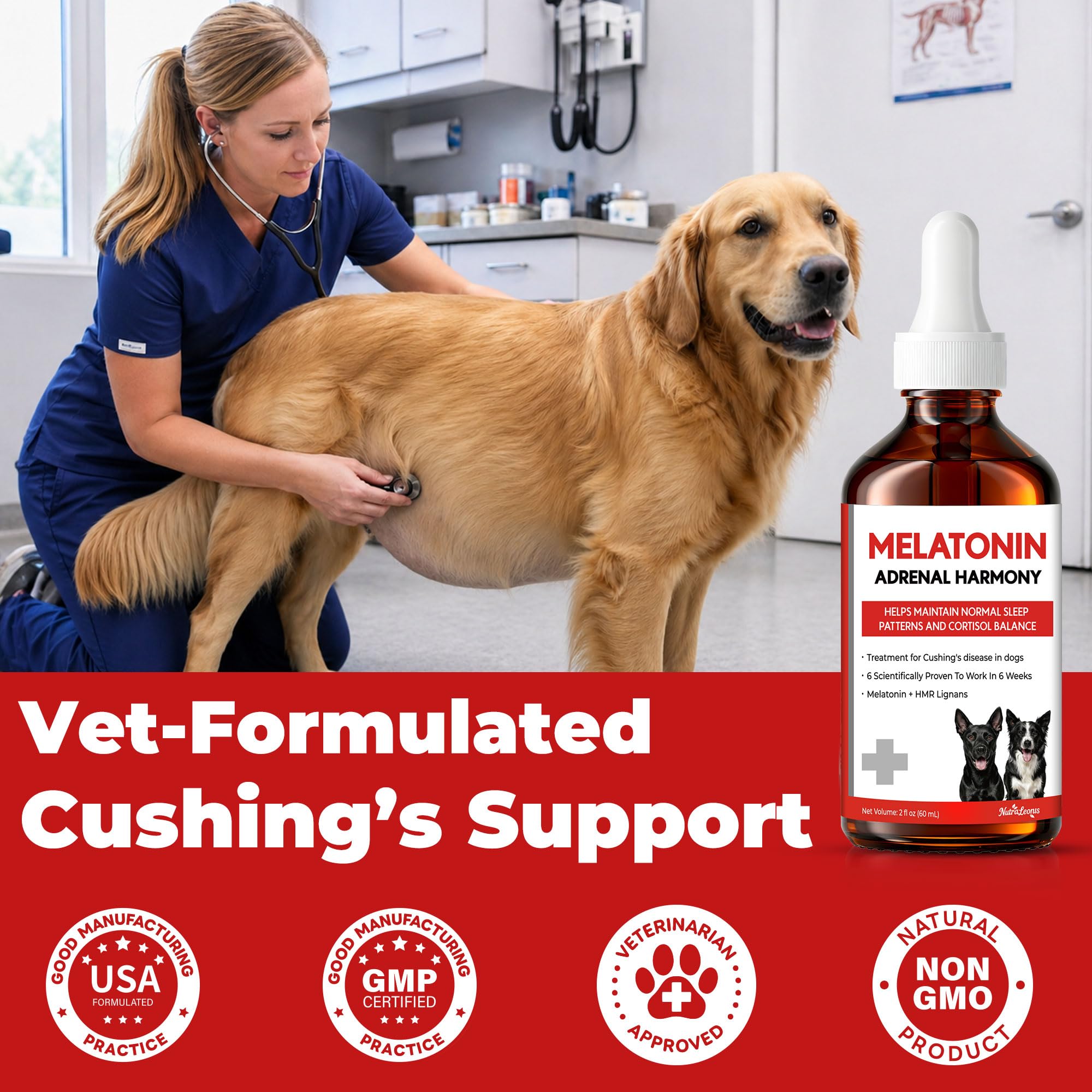 NutraLeonis Adrenal Balance for Dogs bottle on counter conveys convenient daily use.