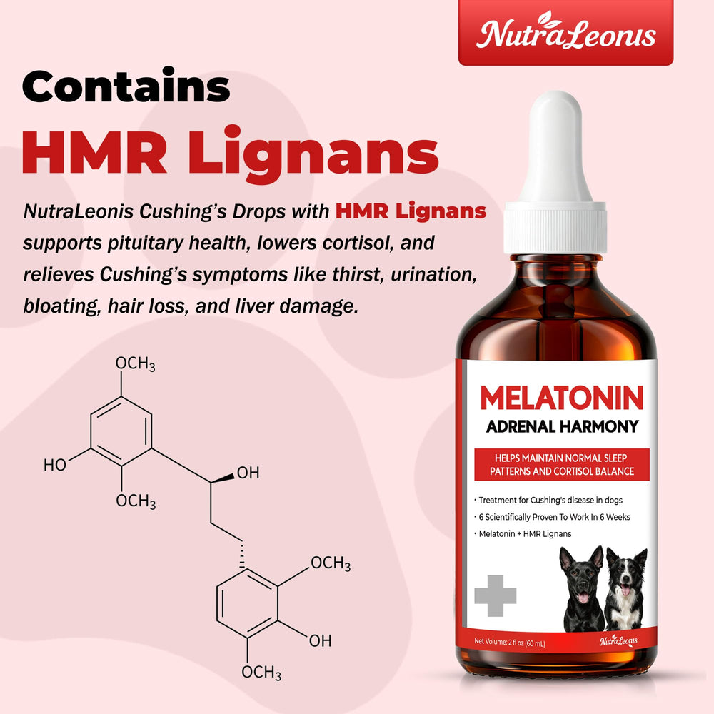 NutraLeonis Adrenal Balance for Dogs dosing syringe conveys vet-formulated, safe balance.
