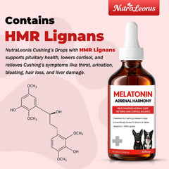 NutraLeonis Adrenal Balance for Dogs dosing syringe conveys vet-formulated, safe balance.