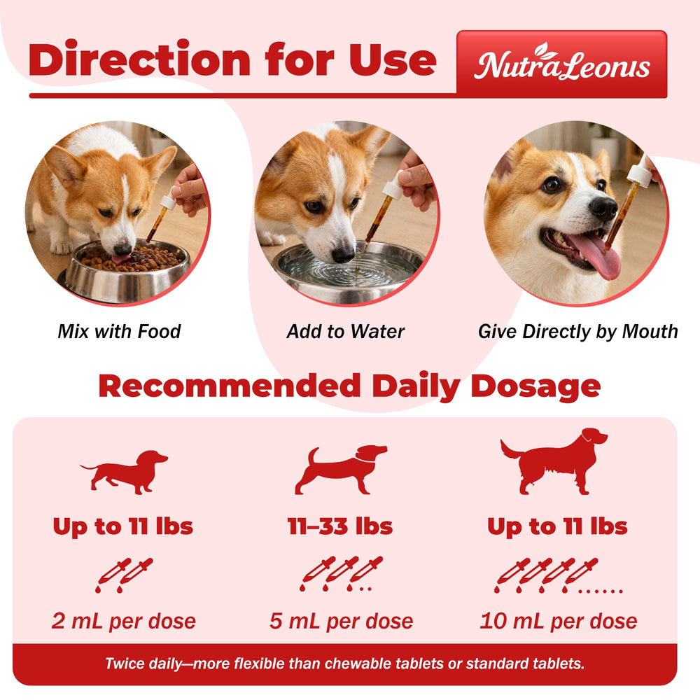 NutraLeonis Adrenal Balance for Dogs on couch suggests potential energy and vitality.