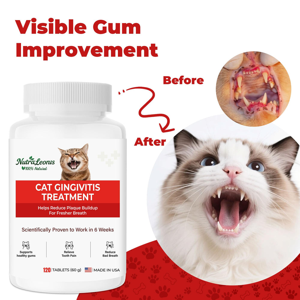 Cat enjoys a meal after adding NutraLeonis tablets to food