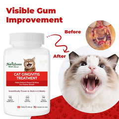 Cat enjoys a meal after adding NutraLeonis tablets to food