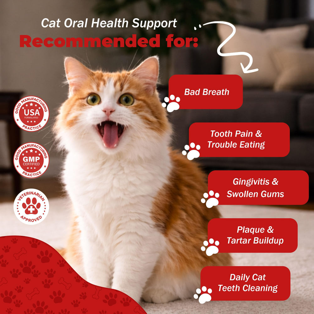 Close-up of NutraLeonis Cat Dental Care tablets ready to swallow