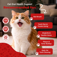 Close-up of NutraLeonis Cat Dental Care tablets ready to swallow