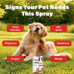 NutraLeonis cat ringworm care spray focuses on comforting flaky, irritated skin.