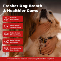 NutraLeonis Dog Dental Care bottle close-up highlighting easy-to-feed tablets.