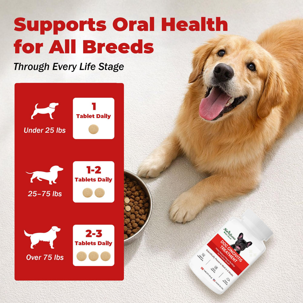 NutraLeonis Dog Dental Care ingredient panel with plant extracts and vitamins.