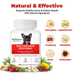 NutraLeonis Dog Dental Care packaging close-up showing plant extracts.