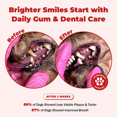 NutraLeonis Dog Dental Care tablets being dispensed for daily oral care.