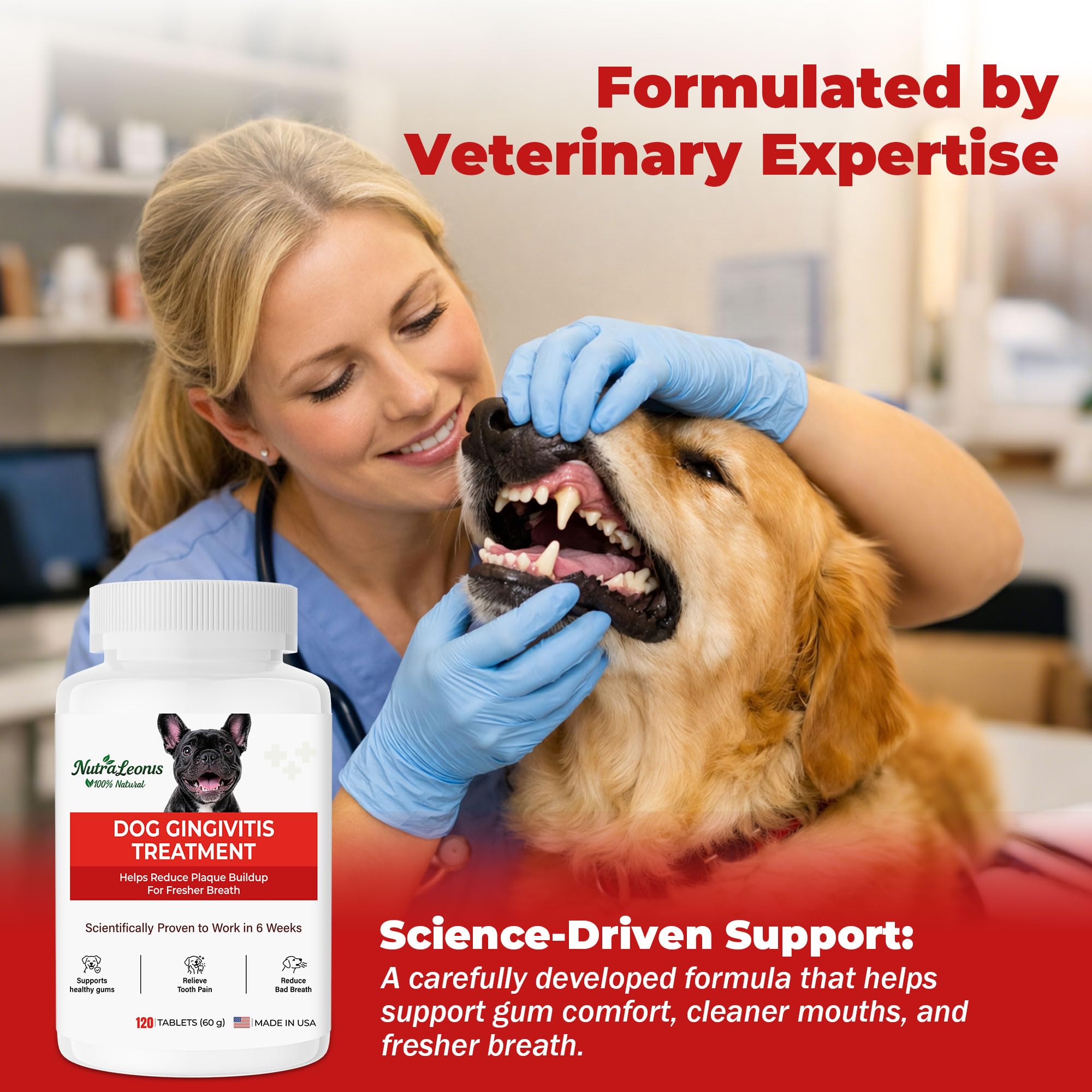 NutraLeonis Dog Dental Care tablets in a bowl for daily administration.