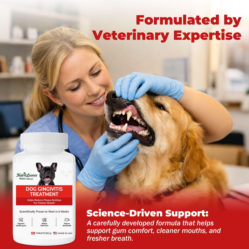 NutraLeonis Dog Dental Care tablets in a bowl for daily administration.