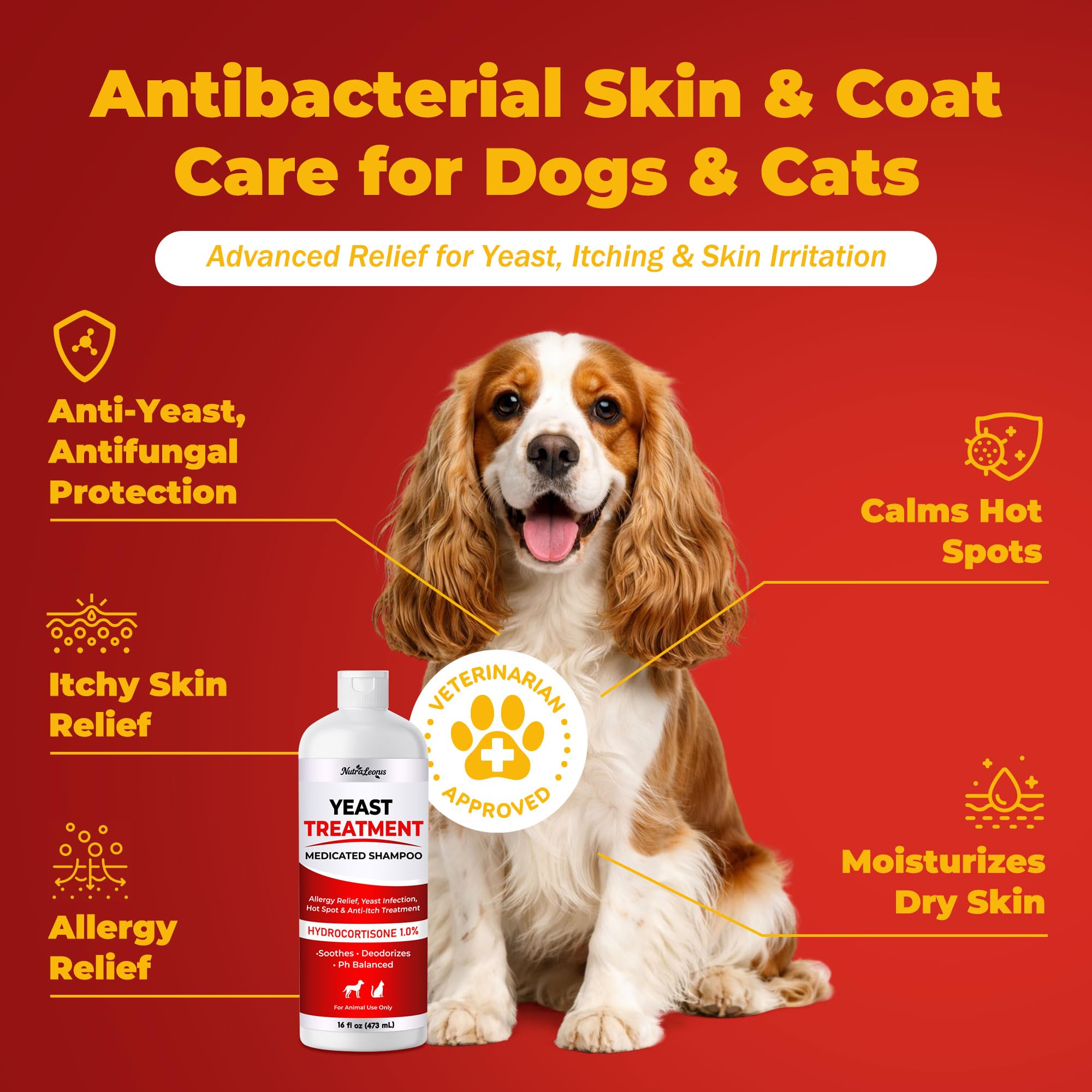 NutraLeonis shampoo lather on a dog's skin for itch relief.