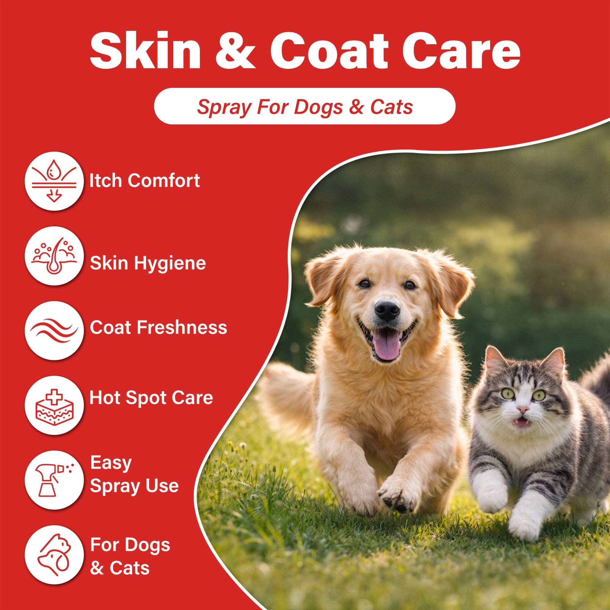 NutraLeonis dog skin spray demonstrates easy application to calm itching and yeast symptoms.
