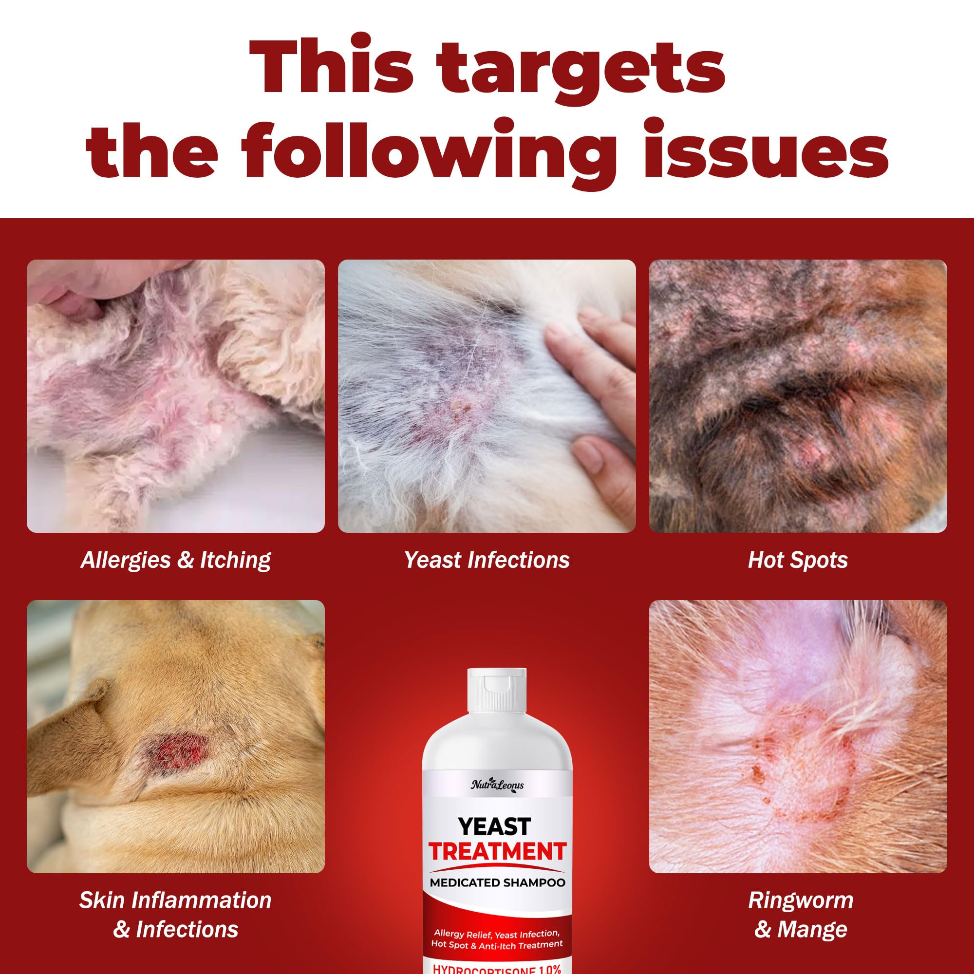 NutraLeonis hot spot remedy applied to a dog’s irritated area.
