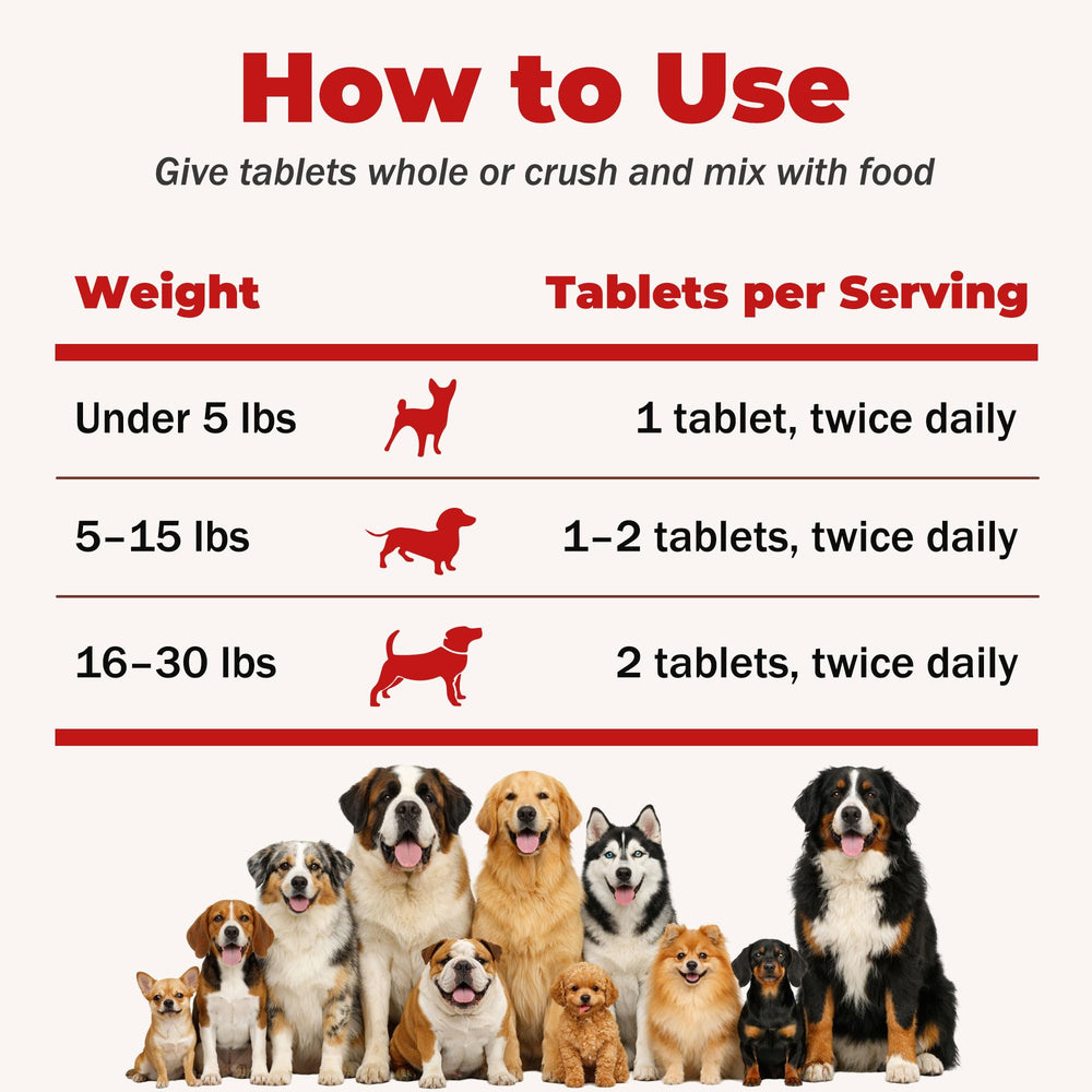 NutraLeonis Quercetin for dogs digestion support, showing gut health benefits.