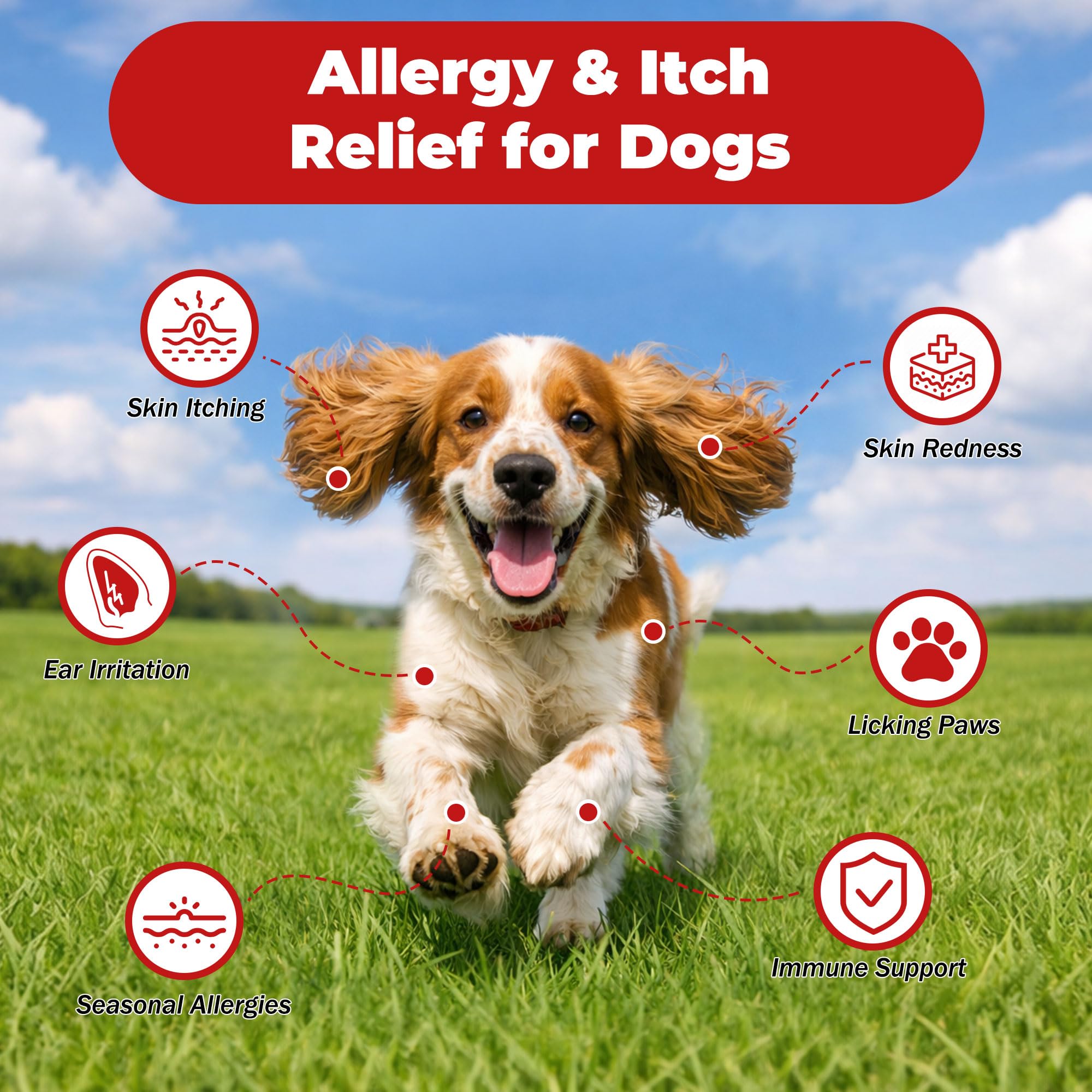 NutraLeonis Quercetin for dogs ear discomfort image, hinting at soothing relief.