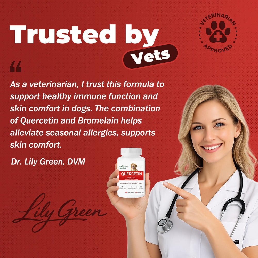 NutraLeonis Quercetin for dogs immune balance closeup, promoting balanced immune response.