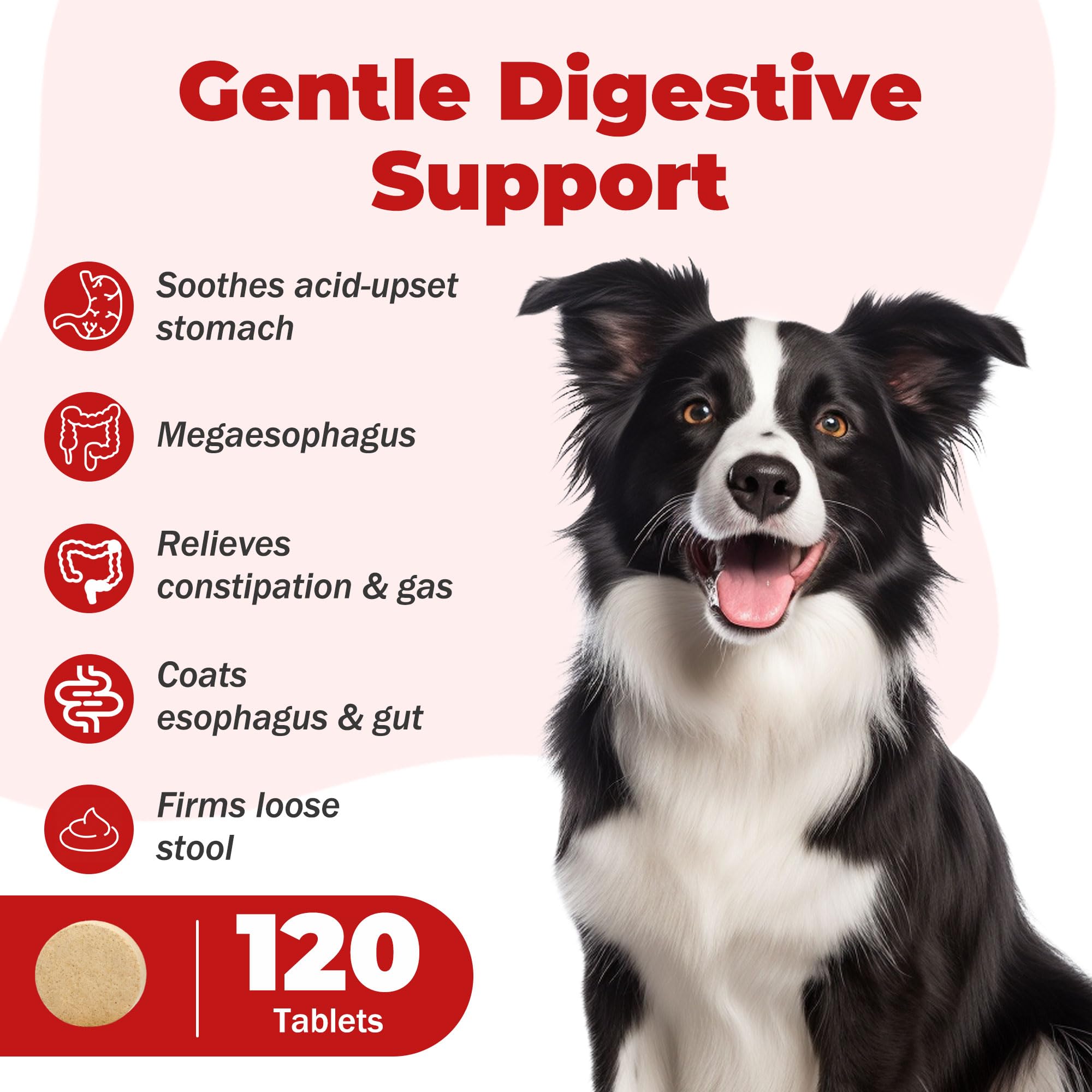 NutraLeonis Slippery Elm dogs bottle label, organic vet formulated care.