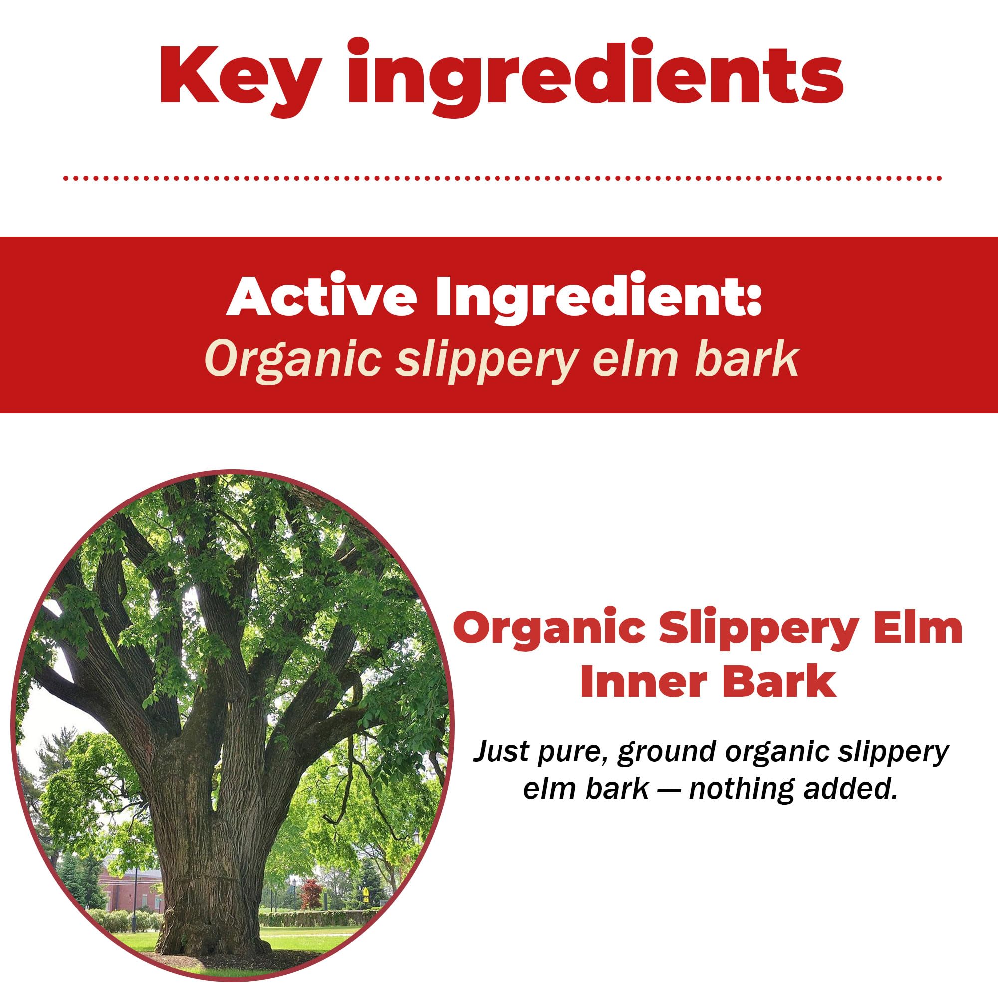 NutraLeonis Slippery Elm dogs feeding routine, gentle digestive support.