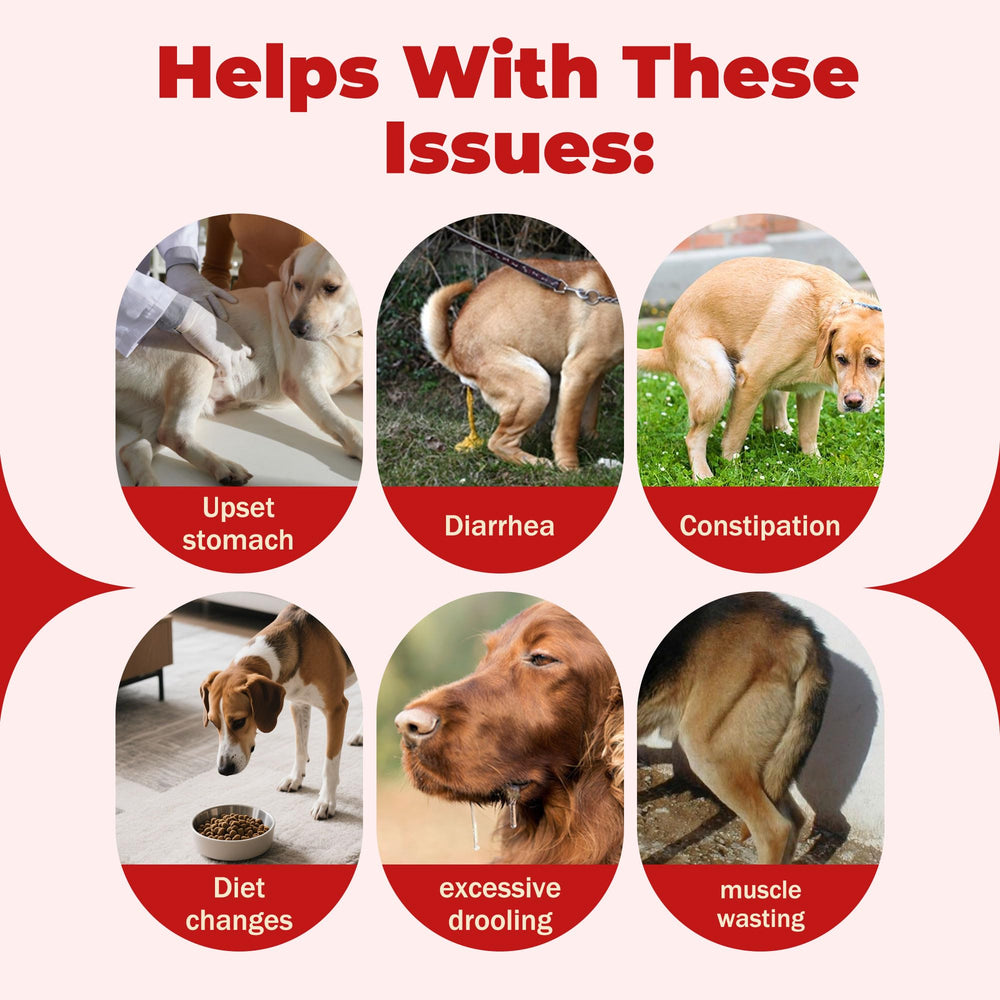 NutraLeonis Slippery Elm dogs tablets, stress free administration.
