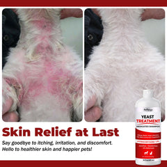 NutraLeonis hydrocortisone-containing shampoo for sensitive dogs.