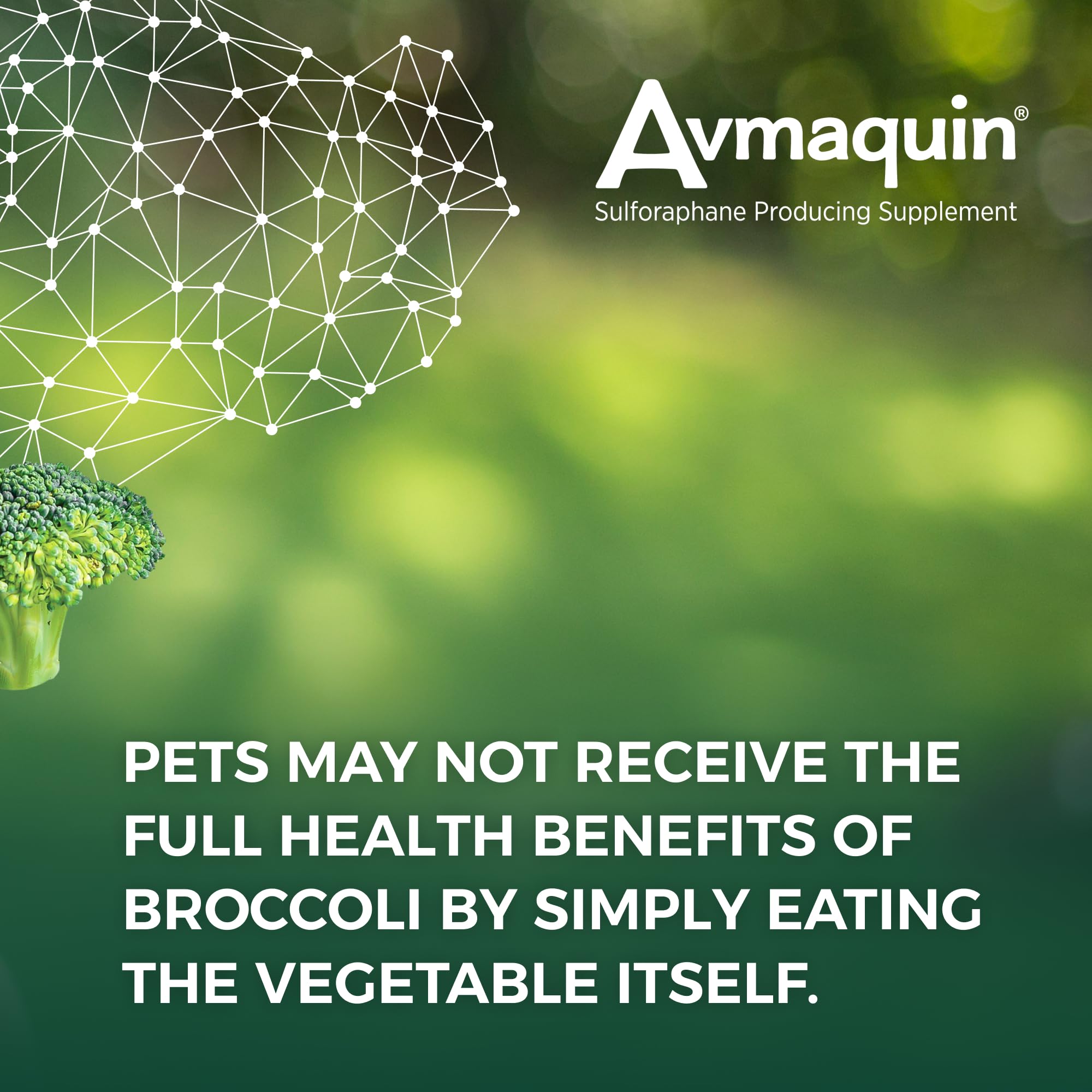 Nutramax Avmaquin label closeup with ingredient notes